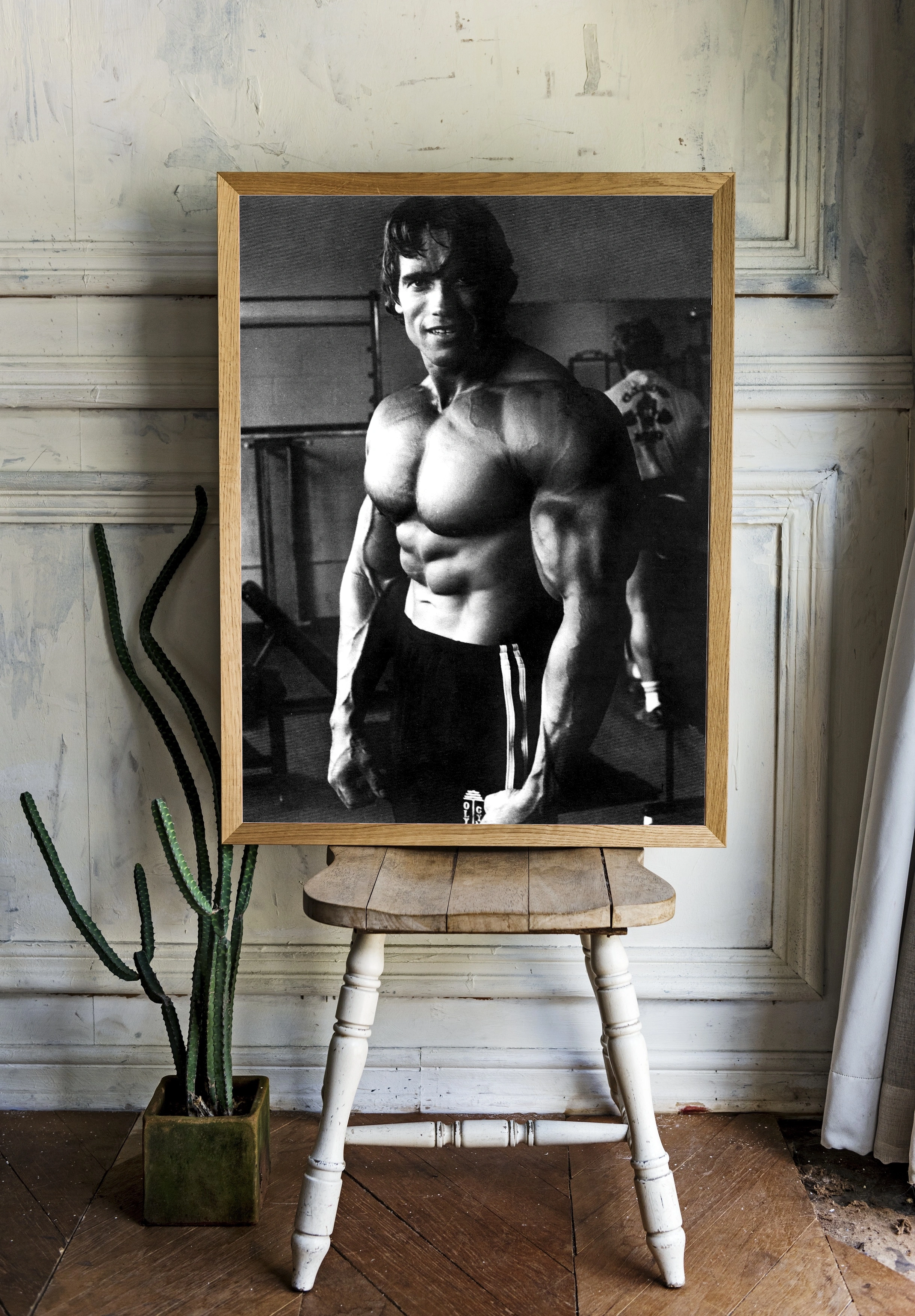 Арнольд Шварценеггер в спортзале - 2