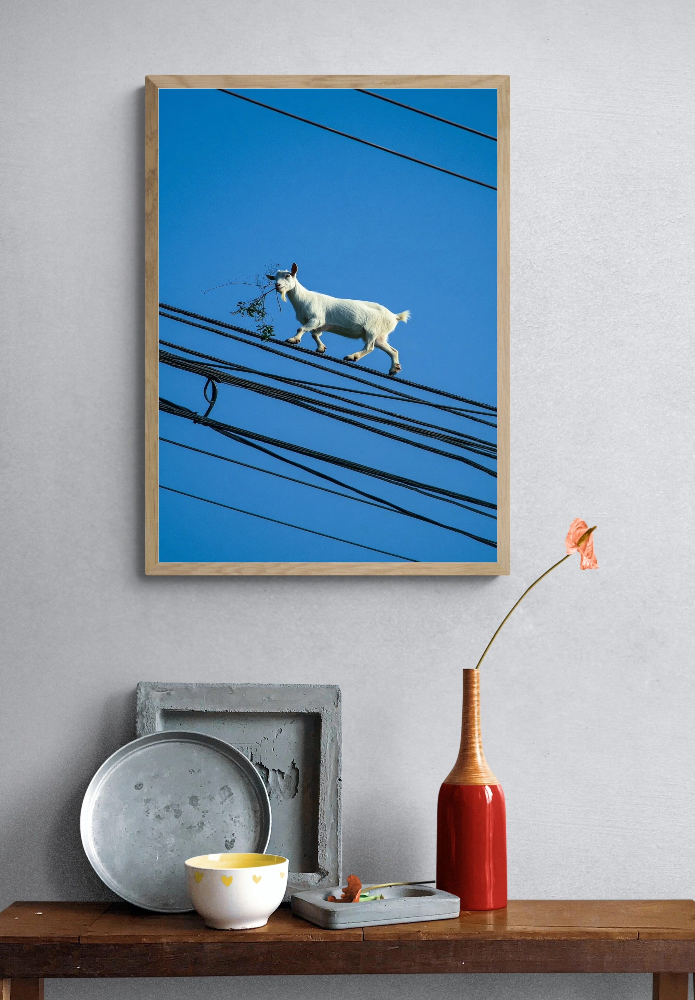 Коза на проводах под ярким небом - 4