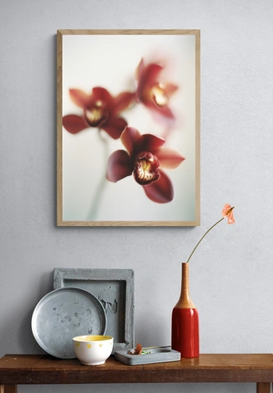Элегантные орхидеи на нежном фоне - 4