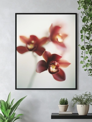 Элегантные орхидеи на нежном фоне - 5